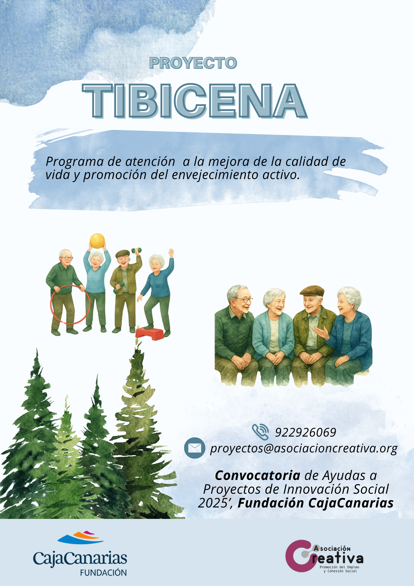 Cartel del proyecto Tibicena